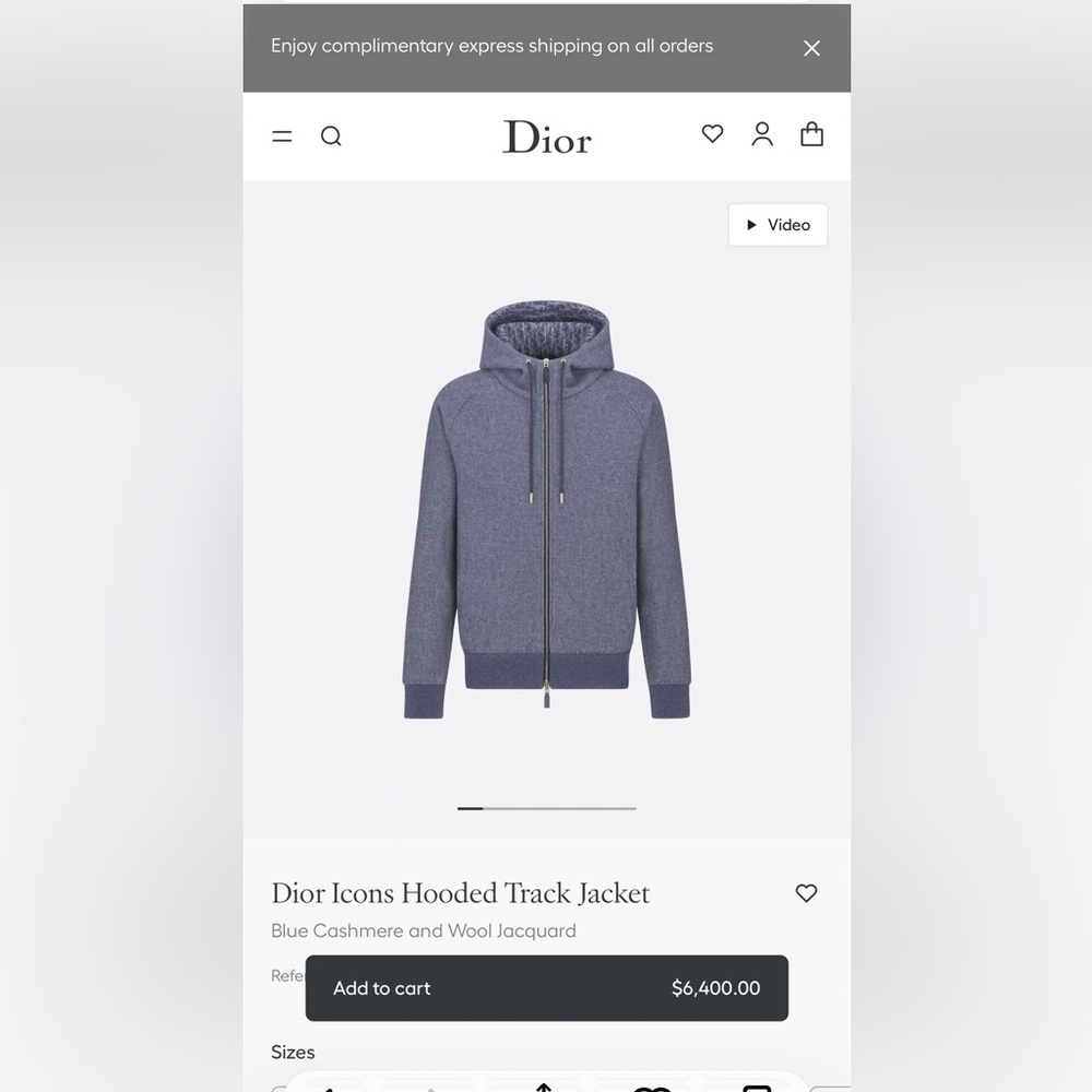 Dior Beige Icons Hooded Track Jacket - Picture 7 of 7